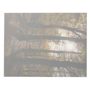 Bloco De Notas Sol da floresta