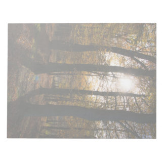 Bloco De Notas Sol da floresta