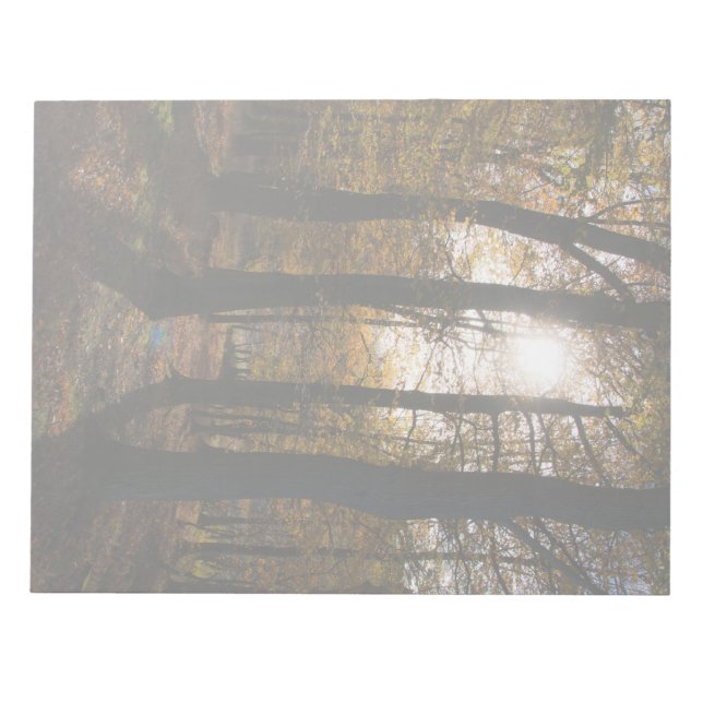 Bloco De Notas Sol da floresta (Frente)