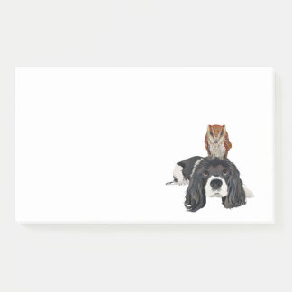 BLOCO DE NOTAS SPANIEL & CORUJA