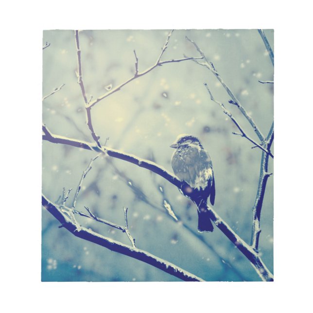 Bloco De Notas Sparrow no galho nevado (Frente)