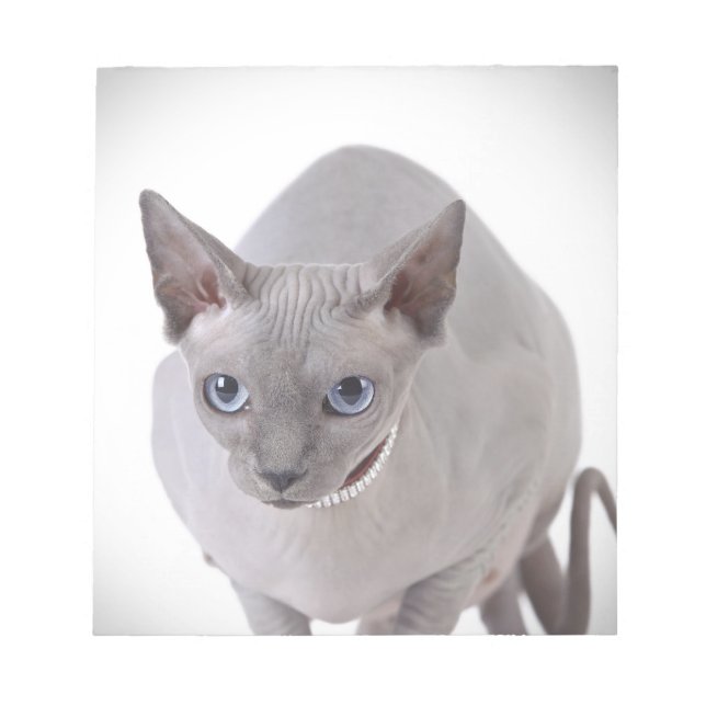 Bloco De Notas Sphynx cat (Frente)