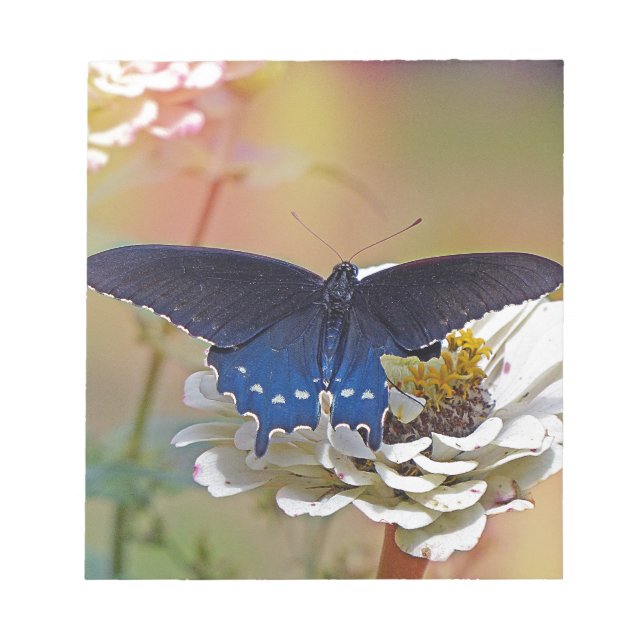 Bloco De Notas Spicebush Swallowtail (Frente)