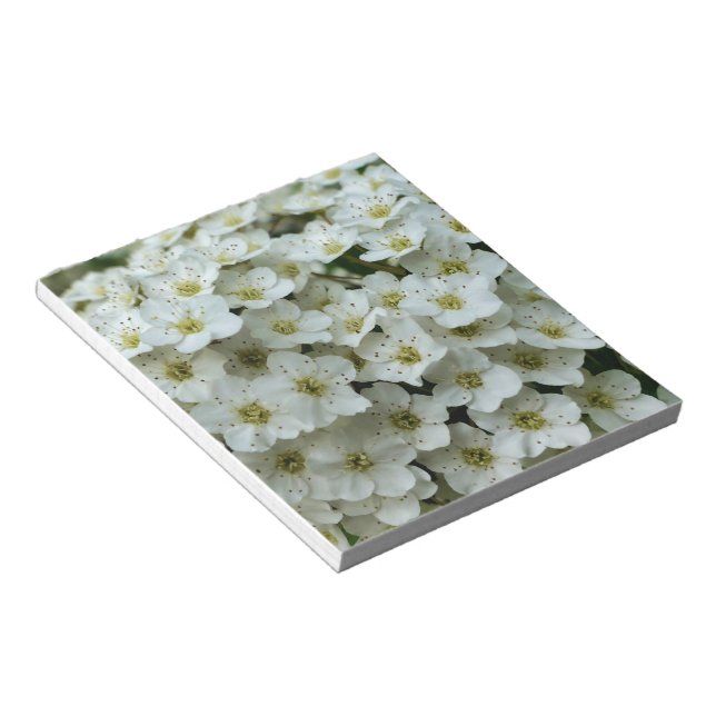 Bloco De Notas Spirea Arguta (Inclinado)