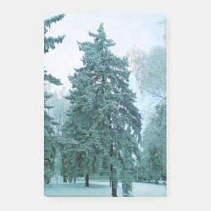 Bloco De Notas Spruce tree com gelo