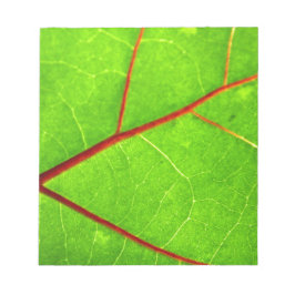 Bloco De Notas St Thomas 1