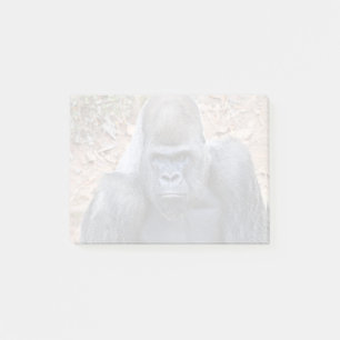 Bloco De Notas Stadi em Zoo Atlanta (2023)