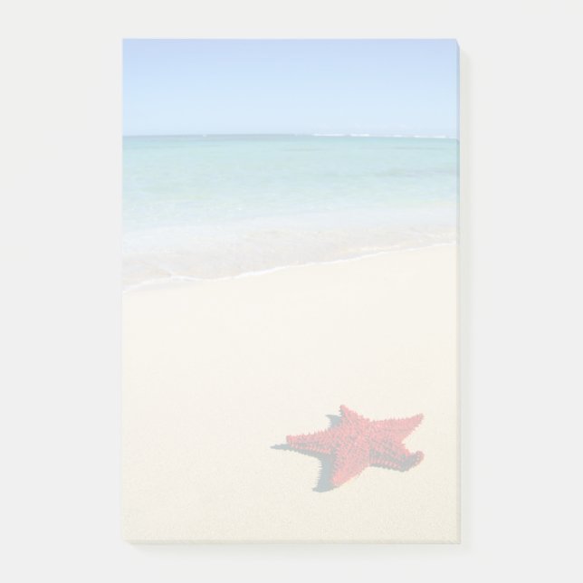 Bloco De Notas Starfish Vermelho Na Praia Branca De Areia (Frente)