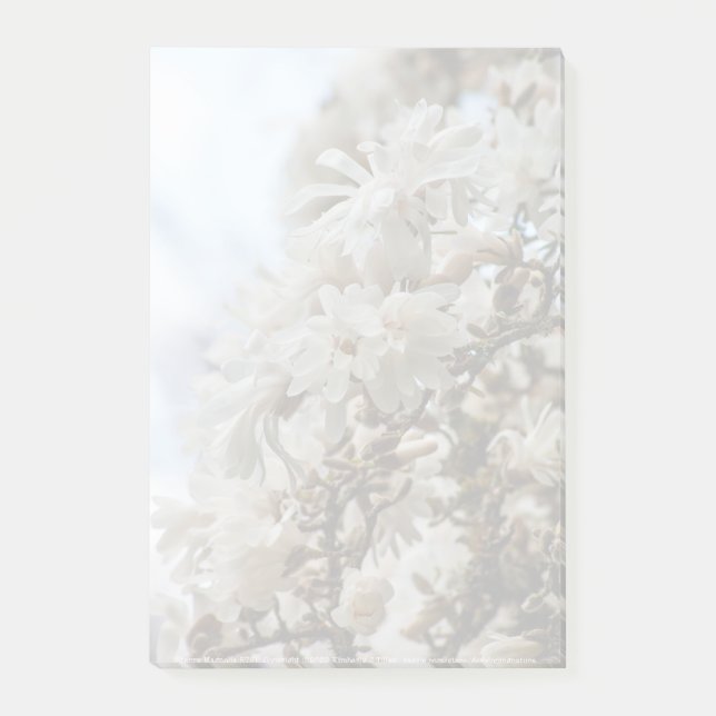 Bloco De Notas Starry Magnolia 5781 (Frente)