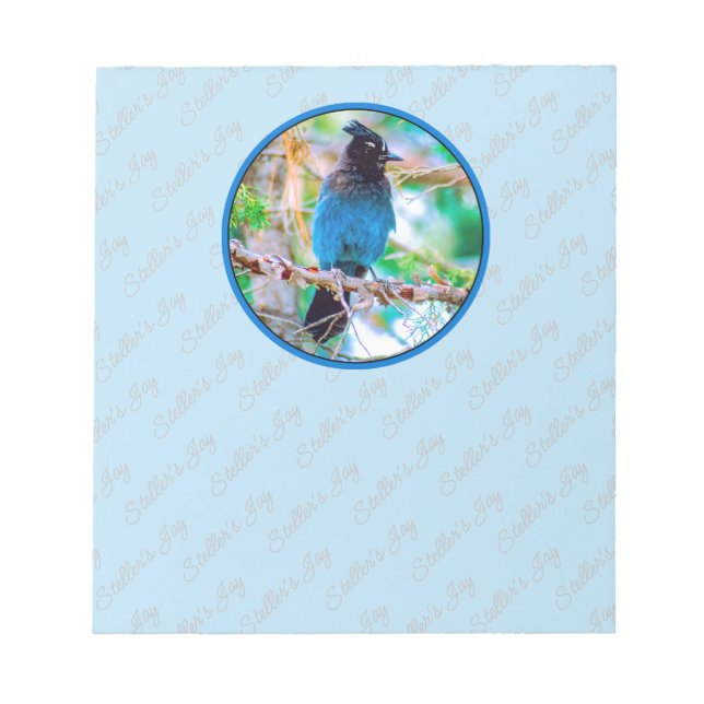 Bloco De Notas Steller's Jay - Fotografia original (Frente)