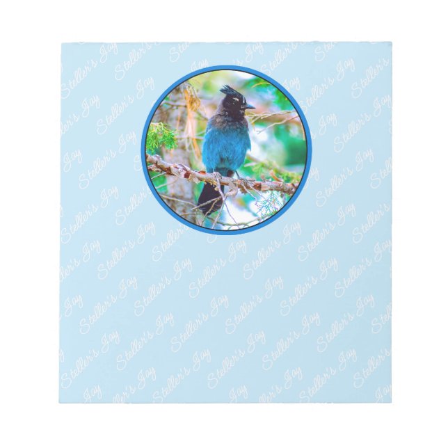 Bloco De Notas Steller's Jay - Fotografia original (Frente)