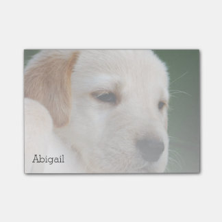 Bloco De Notas Sua foto automaticamente desvanece-se gradualmente