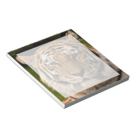 Bloco De Notas Sumatran Tiger Portrait