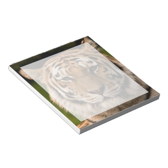 Bloco De Notas Sumatran Tiger Portrait (Inclinado)