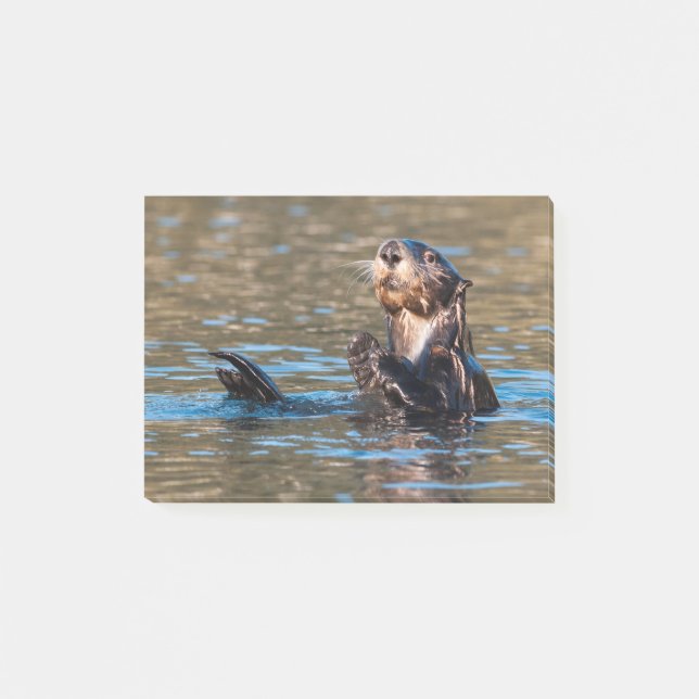 Bloco De Notas Sunny Sea Otter (Frente)