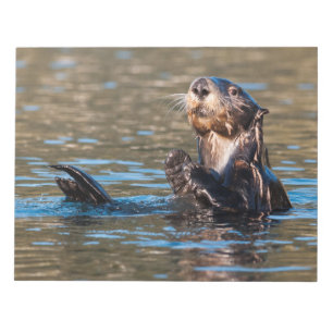 Bloco De Notas Sunny Sea Otter