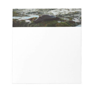 Bloco De Notas Sunset Lit Harbor Seal II em San Diego