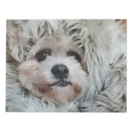 Bloco De Notas Sweet dog, puppy