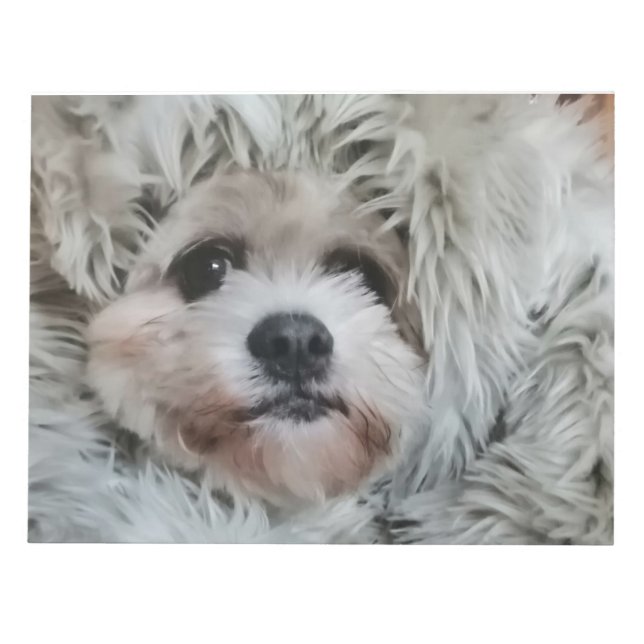 Bloco De Notas Sweet dog, puppy (Frente)