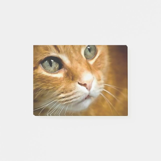 Bloco De Notas Tabby Ginger Adorável Posicionando Retrato Pet (Frente)