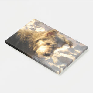 Bloco De Notas Tailandês Beach Dog