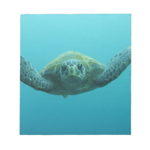 Bloco De Notas Tartaruga Verde (Chelonia mydas agassisi), Central