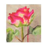 Tea Rosa aquosa híbrido cor-de-água, moderna arte 