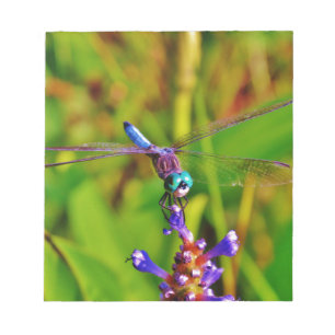 Bloco De Notas Teal Rainbow Dragonfly