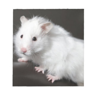 Bloco De Notas Teddy Bear Hamster