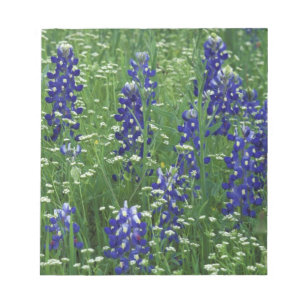 Bloco De Notas Texas, Lago Buchanan. Texas Bluebonnet e Wild