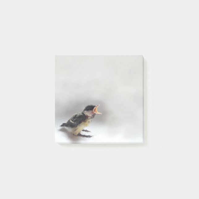 Bloco De Notas Tidi, meu Pássaro, o Parus Major (Frente)