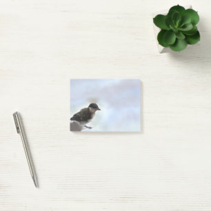 Bloco De Notas Tidi, meu Pássaro, o Parus Major