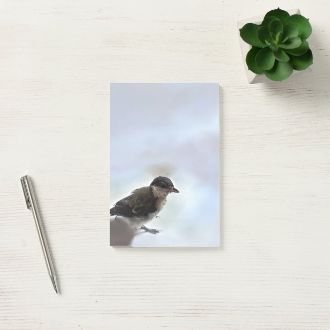 Bloco De Notas Tidi, meu Pássaro, o Parus Major (Escritótio)