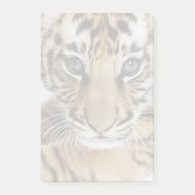 Bloco De Notas Tigre Cub (Frente)