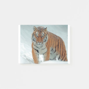 Bloco De Notas Tigre Siberiano na neve