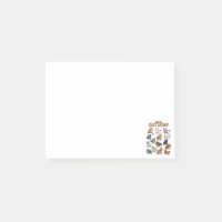Tipos de Gato Enrolado Adorável Gatinho Kawaii Gat