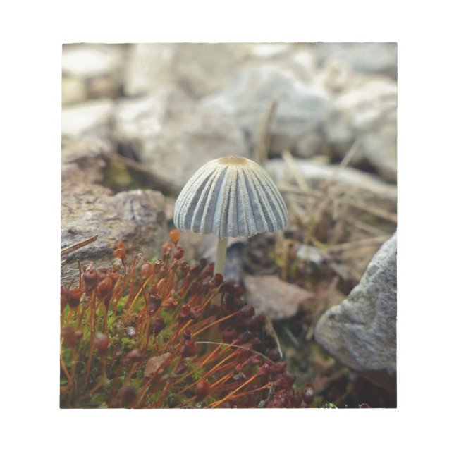 Bloco De Notas Toadstool pequenina (Frente)