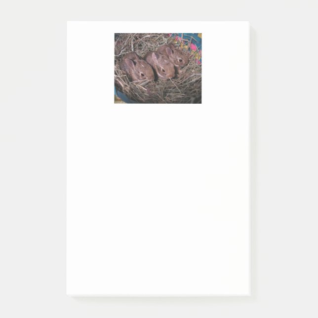 Bloco De Notas "Três em Fila!" (Frente)