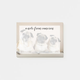 Bloco De Notas Três Pugs Em Uma Linha