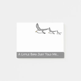 Bloco De Notas Três Seagull voando em uma fila. Birder