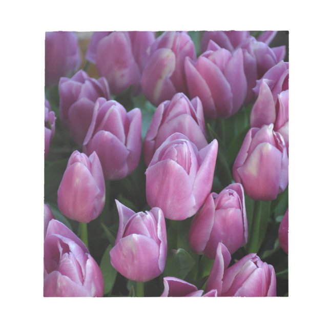 Bloco De Notas Tulipas de primavera púrpura (Frente)