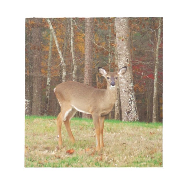 Bloco De Notas Um Caçador de Sonhos (Frente)