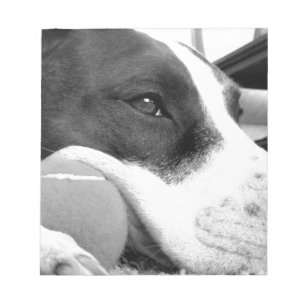 Bloco De Notas um cachorro pitbull, bonito e bonito, branco com b
