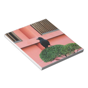 Bloco De Notas Um Corvo-Selvagem Grande Uma Perca Numa Árvore De