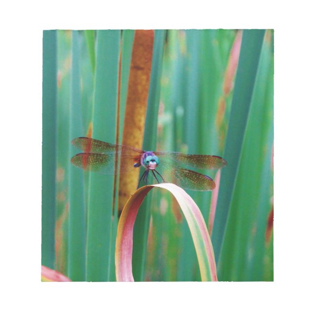 Bloco De Notas Um Dragonfly de Olhos Vermelhos com cattails (Frente)