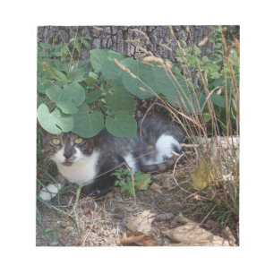 Bloco De Notas Um gato escondido