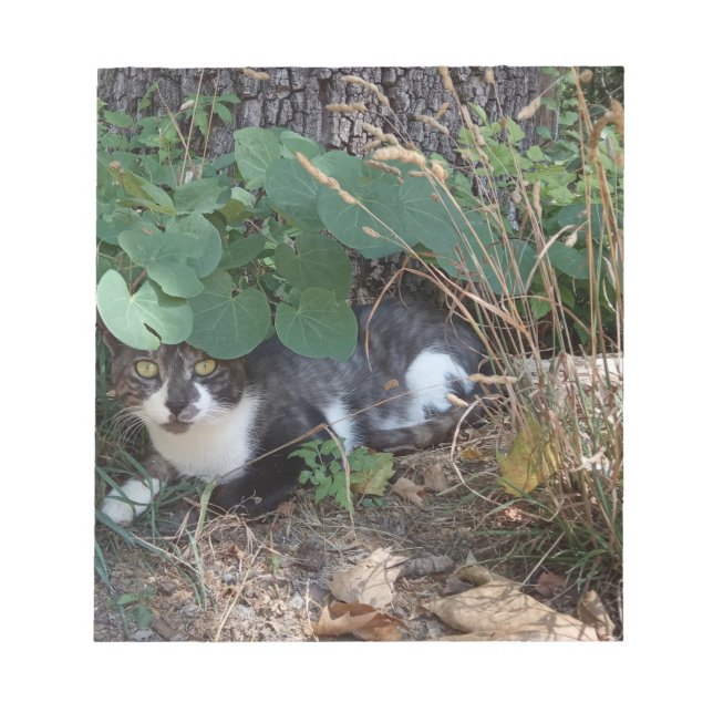 Bloco De Notas Um gato escondido (Frente)