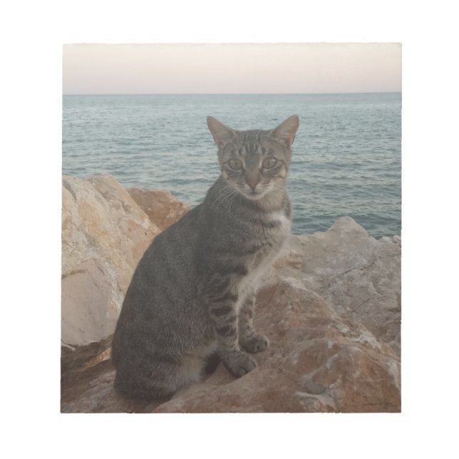 Bloco De Notas Um Modelo de Cat (Frente)