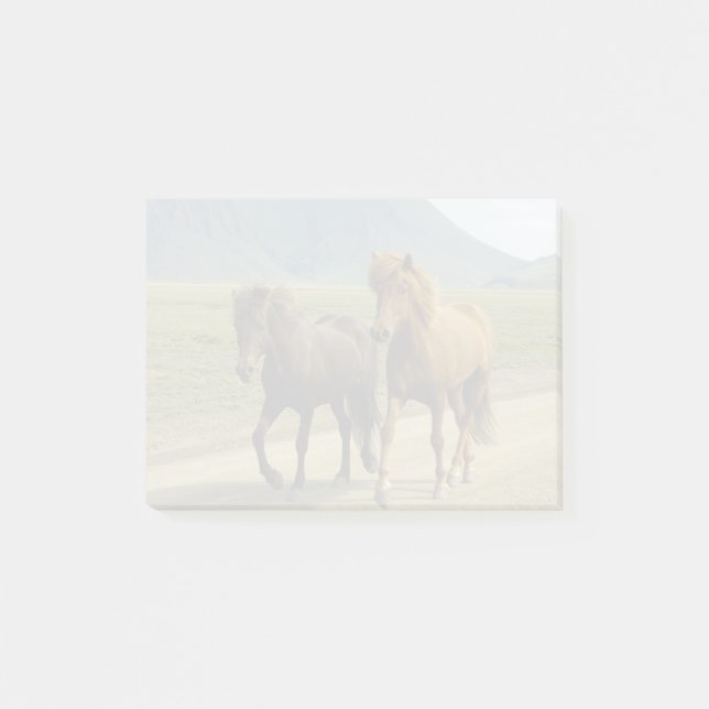 Bloco De Notas Um par de pôneis islandeses castanhos (Frente)