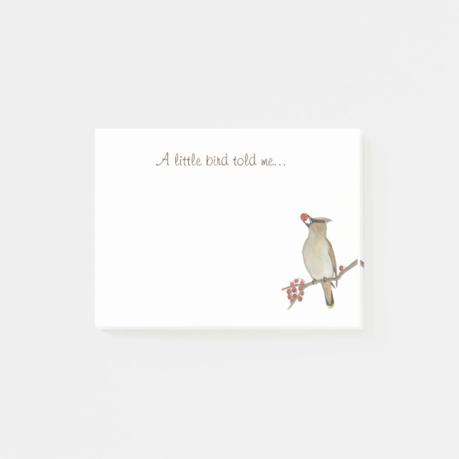 Bloco De Notas Um Pássaro Pequeno Me Disse (Frente)